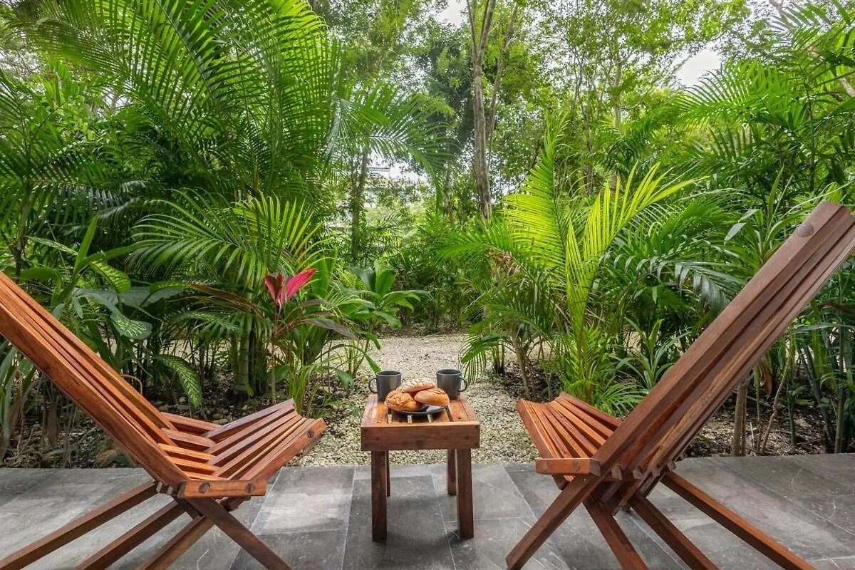 Apartment Luxurious Loft In Tulum 9 Minutes From The Beach