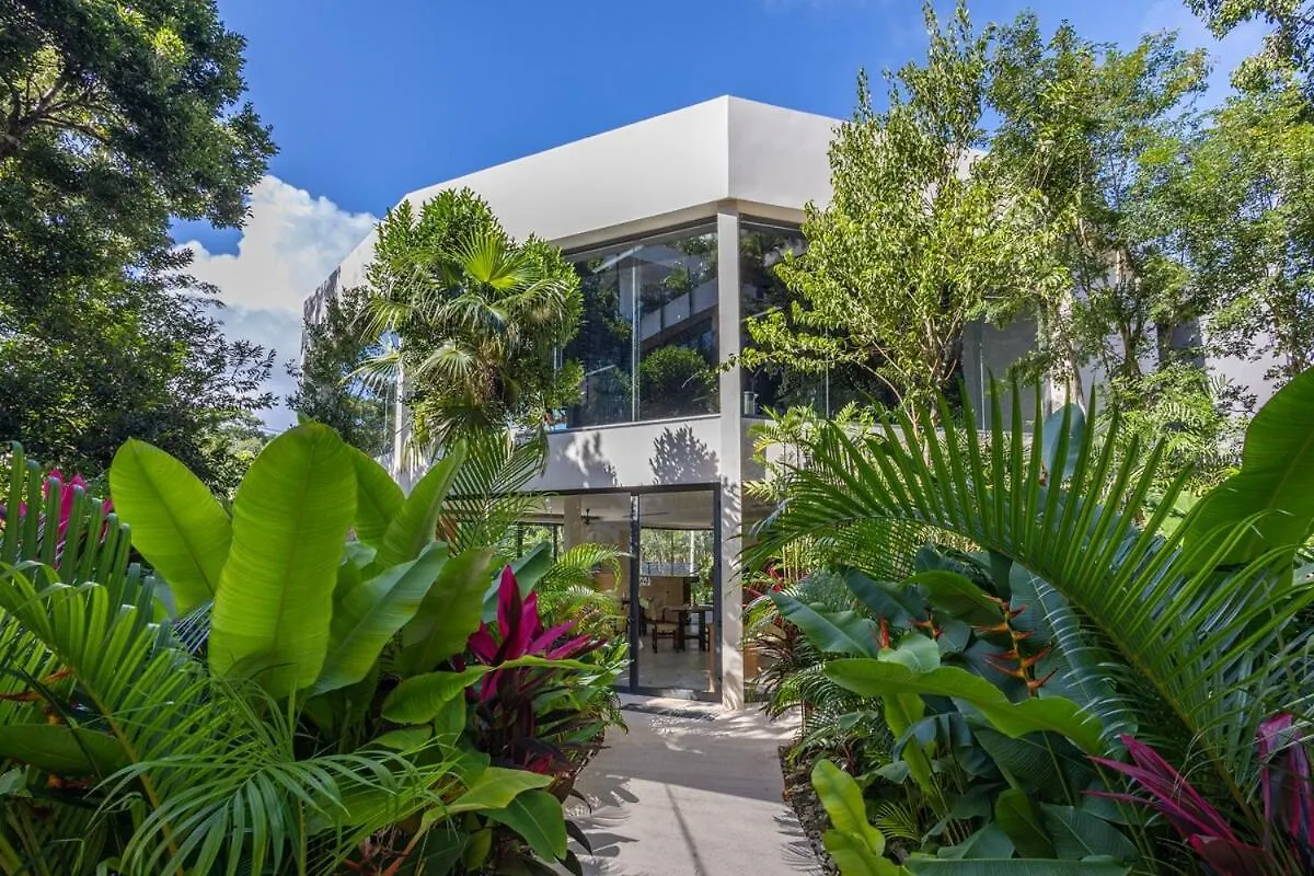Luxurious Loft In Tulum 9 Minutes From The Beach Apartment