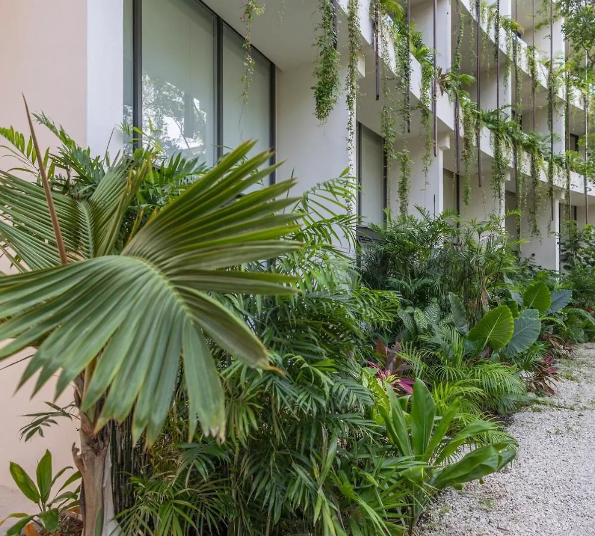 Apartment Luxurious Loft In Tulum 9 Minutes From The Beach Mexico